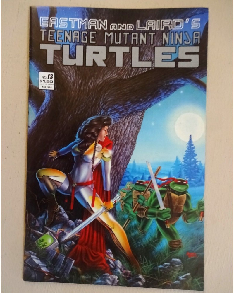 TMNT #13