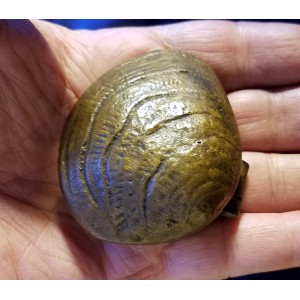Sexy Clam Shell Ring Holder