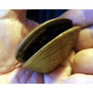 Sexy Clam Shell Ring Holder