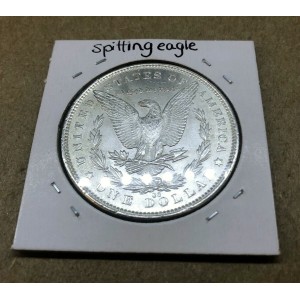 1891 CC Spitting Eagle