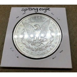 1891 CC Spitting Eagle