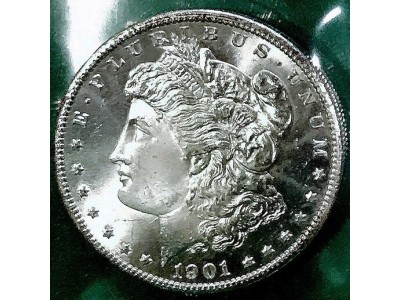 1901 Morgan dollar