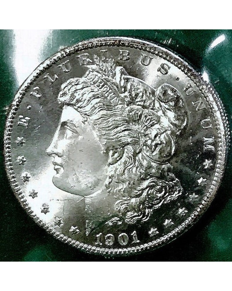 1901 Morgan dollar